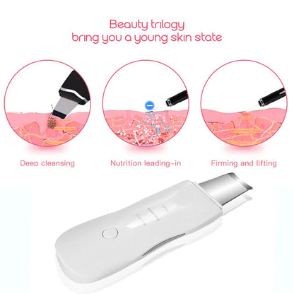 PureSonic Ultrasonic Skin Scrubber
